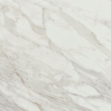 0023EM Carrara marmori